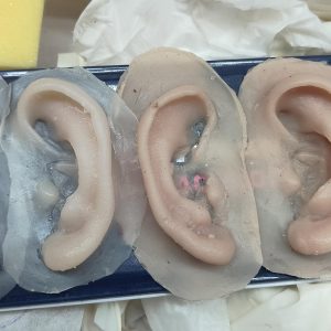 Ears